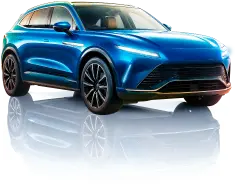 Newsletter Autofest